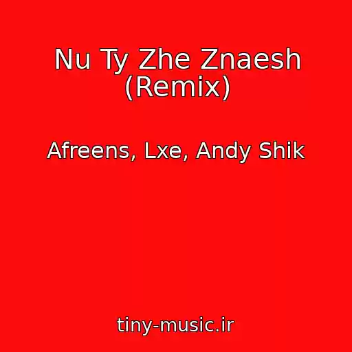 کاور آهنگ Nu Ty Zhe Znaesh (Remix) از Afreens, Lxe, Andy Shik