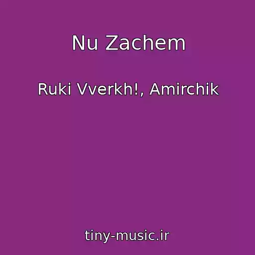 کاور آهنگ Nu Zachem از Ruki Vverkh!, Amirchik