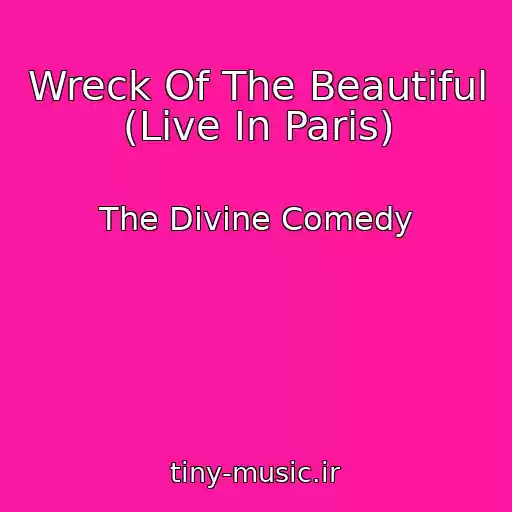 کاور آهنگ Wreck Of The Beautiful (Live In Paris) از The Divine Comedy