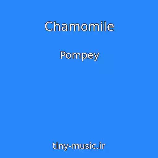 کاور آهنگ Chamomile از Pompey