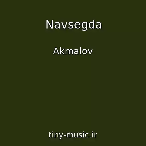 کاور آهنگ Navsegda از Akmalov
