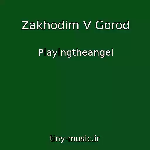 کاور آهنگ Zakhodim V Gorod از Playingtheangel