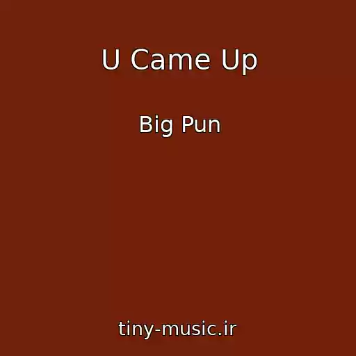 کاور آهنگ U Came Up از Big Pun