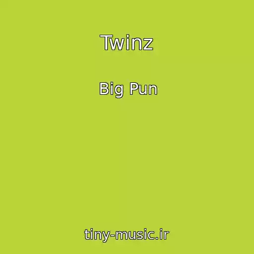کاور آهنگ Twinz از Big Pun