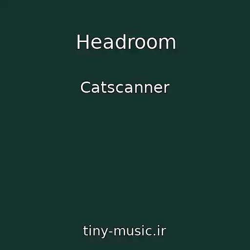 کاور آهنگ Headroom از Catscanner