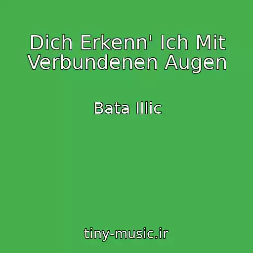 کاور آهنگ Dich Erkenn' Ich Mit Verbundenen Augen از Bata Illic