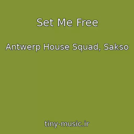 کاور آهنگ Set Me Free از Antwerp House Squad, Sakso