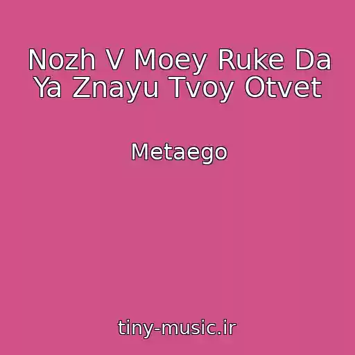 کاور آهنگ Nozh V Moey Ruke Da Ya Znayu Tvoy Otvet از Metaego