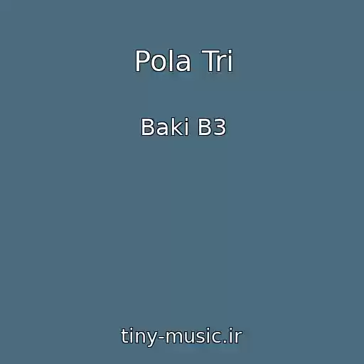 کاور آهنگ Pola Tri از Baki B3