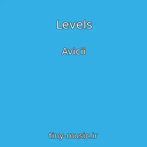 کاور آهنگ Levels از Avicii