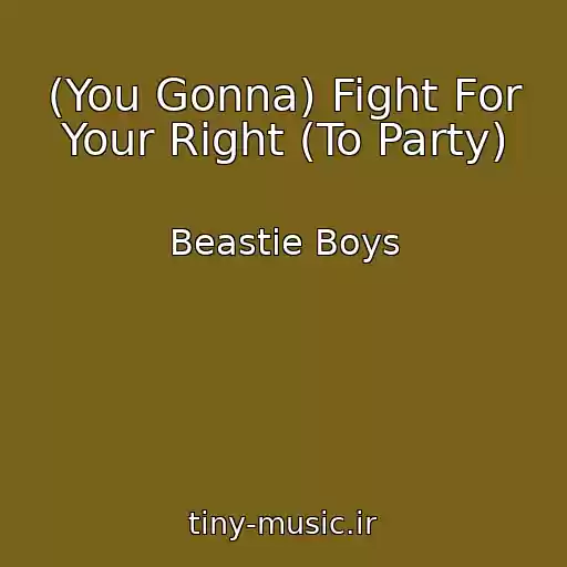 کاور آهنگ (You Gonna) Fight For Your Right (To Party) از Beastie Boys