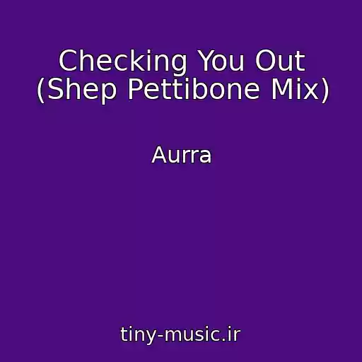 کاور آهنگ Checking You Out (Shep Pettibone Mix) از Aurra
