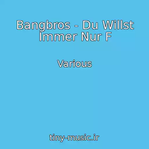 کاور آهنگ Bangbros - Du Willst Immer Nur F از Various