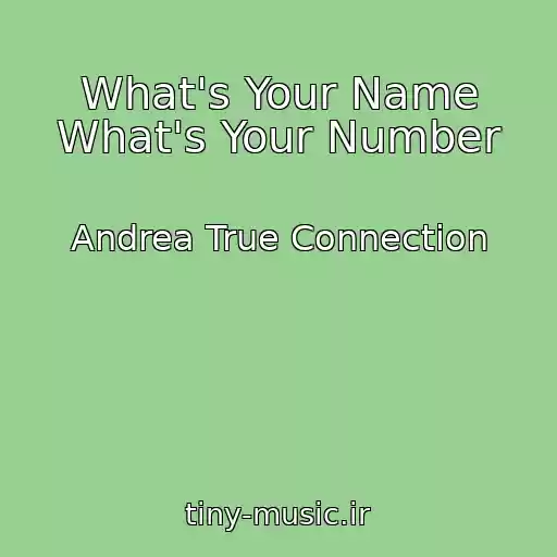 کاور آهنگ What's Your Name What's Your Number از Andrea True Connection