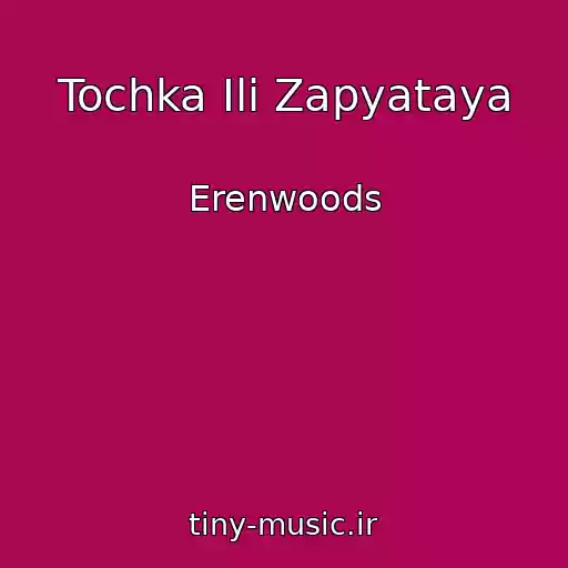 کاور آهنگ Tochka Ili Zapyataya از Erenwoods