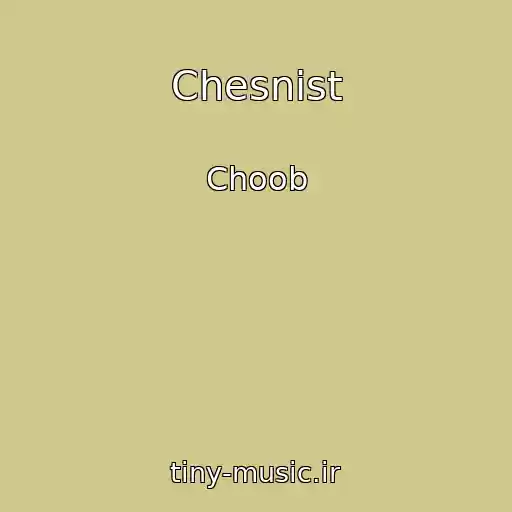 کاور آهنگ Chesnіst از Choob