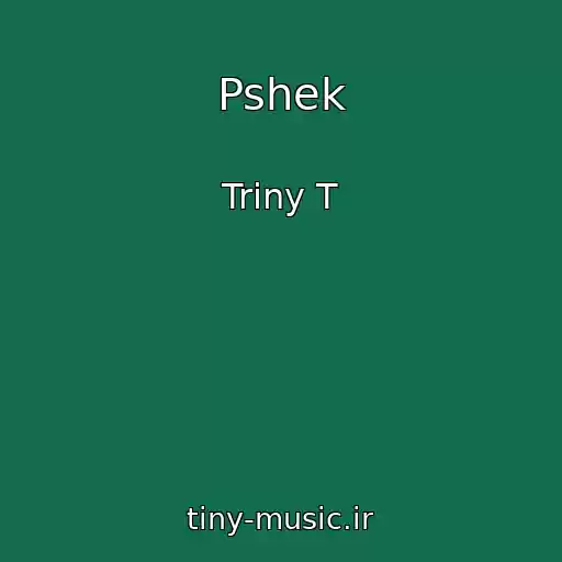 کاور آهنگ Pshek از Triny T