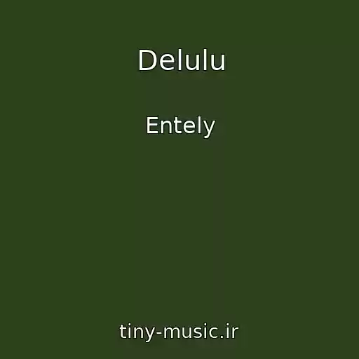 کاور آهنگ Delulu از Entely