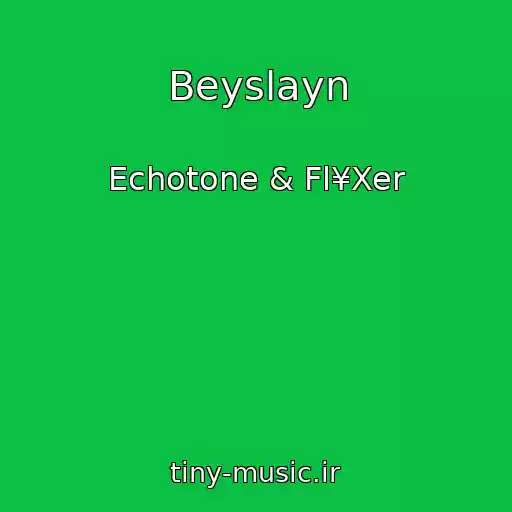 کاور آهنگ Beyslayn از Echotone & Fl¥Xer