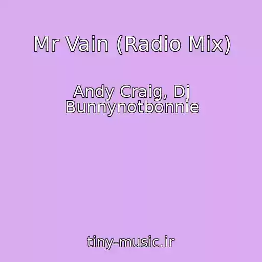 کاور آهنگ Mr Vain (Radio Mix) از Andy Craig, Dj Bunnynotbonnie