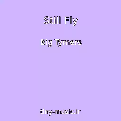 کاور آهنگ Still Fly از Big Tymers