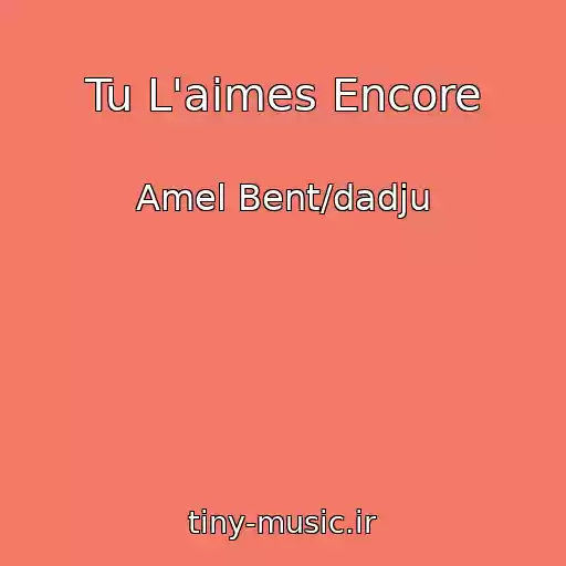 کاور آهنگ Tu L'aimes Encore از Amel Bent/dadju