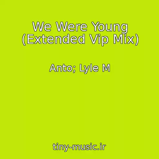 کاور آهنگ We Were Young (Extended Vip Mix) از Anto; Lyle M