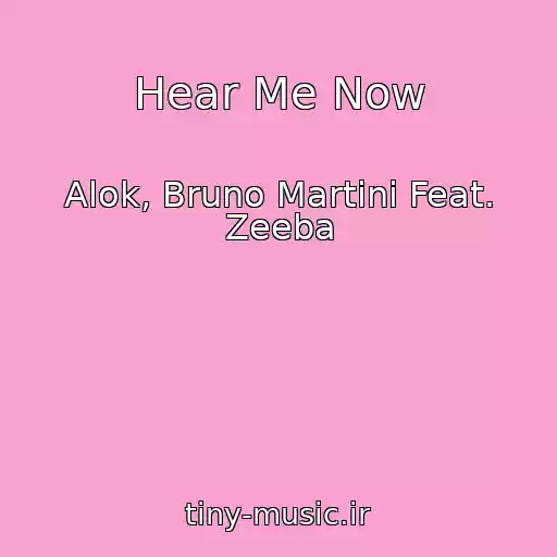 کاور آهنگ Hear Me Now از Alok, Bruno Martini Feat. Zeeba