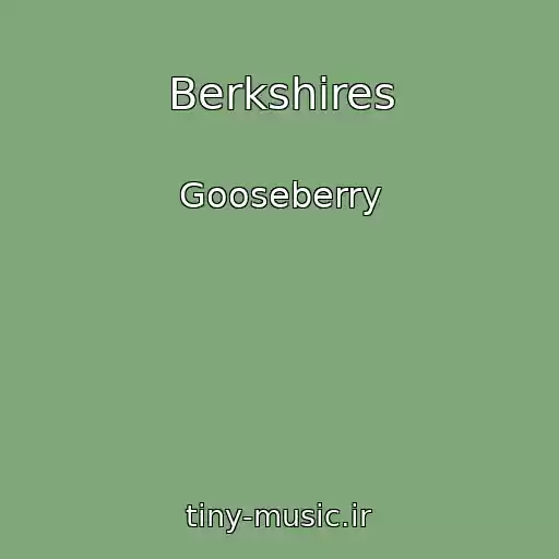 کاور آهنگ Berkshires از Gooseberry