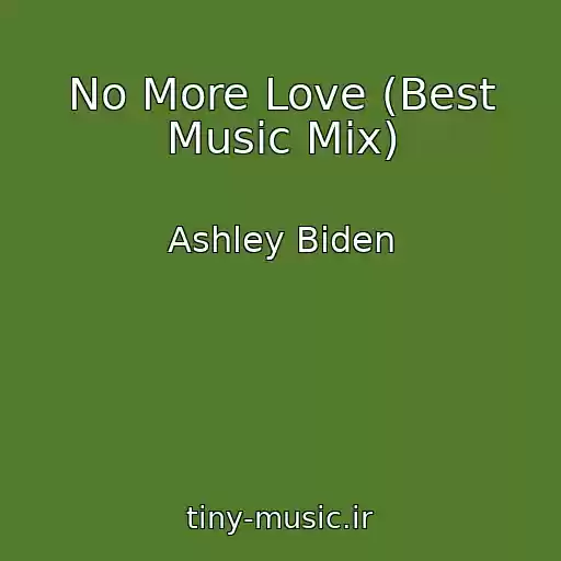 کاور آهنگ No More Love (Best Music Mix) از Ashley Biden