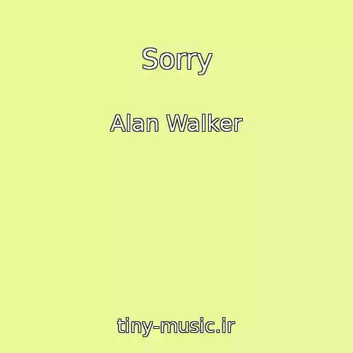 کاور آهنگ Sorry از Alan Walker