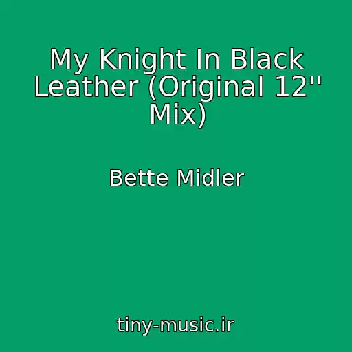کاور آهنگ My Knight In Black Leather (Original 12'' Mix) از Bette Midler