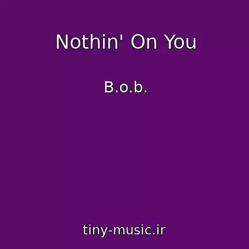 کاور آهنگ Nothin' On You از B.o.b.