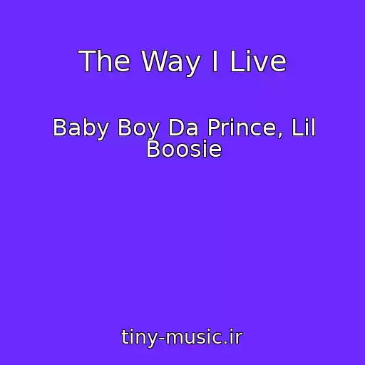 کاور آهنگ The Way I Live از Baby Boy Da Prince, Lil Boosie