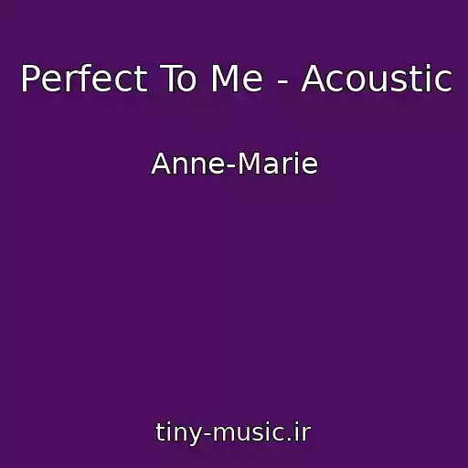 کاور آهنگ Perfect To Me - Acoustic از Anne-Marie