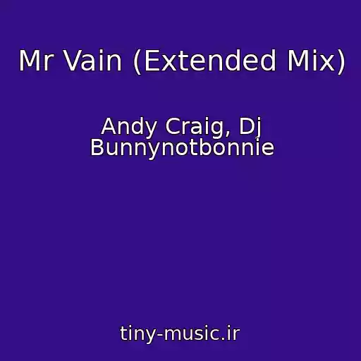 کاور آهنگ Mr Vain (Extended Mix) از Andy Craig, Dj Bunnynotbonnie
