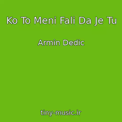 کاور آهنگ Ko To Meni Fali Da Je Tu از Armin Dedic