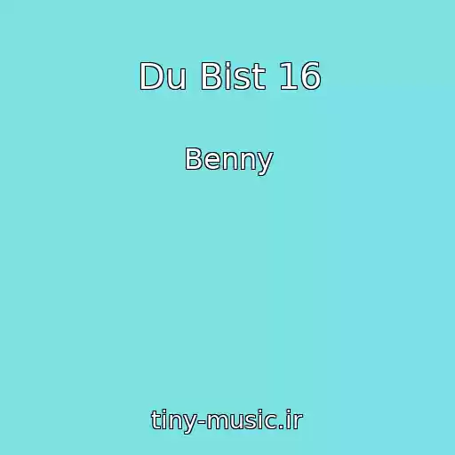 کاور آهنگ Du Bist 16 از Benny