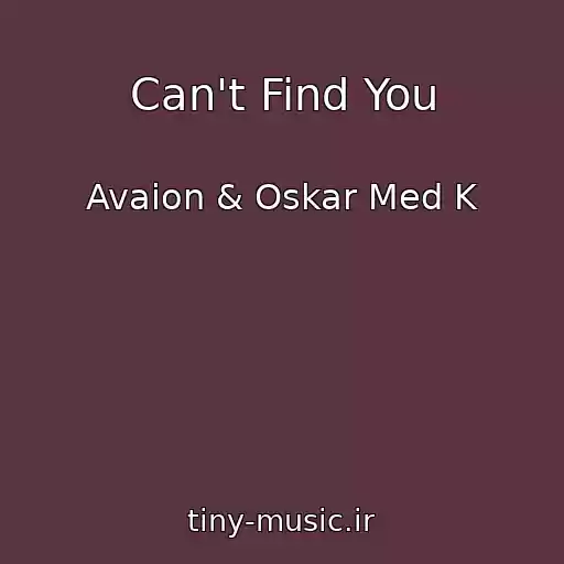 کاور آهنگ Can't Find You از Avaion & Oskar Med K