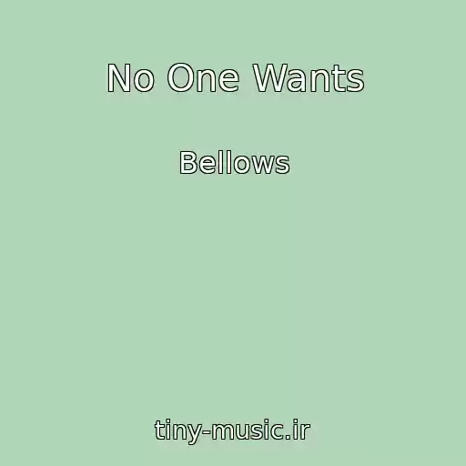 کاور آهنگ No One Wants از Bellows