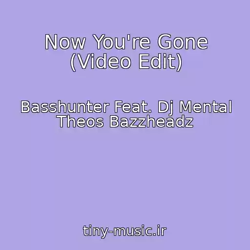 کاور آهنگ Now You're Gone (Video Edit) از Basshunter Feat. Dj Mental Theos Bazzheadz