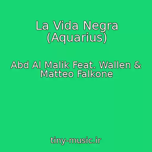 کاور آهنگ La Vida Negra (Aquarius) از Abd Al Malik Feat. Wallen & Matteo Falkone