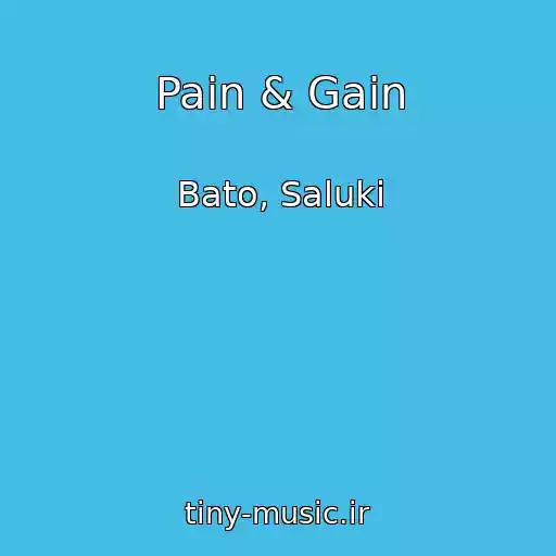 کاور آهنگ Pain & Gain از Bato, Saluki