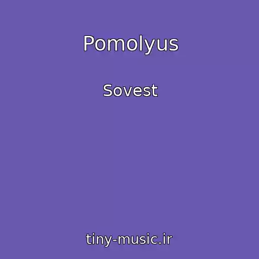 کاور آهنگ Pomolyus از Sovest