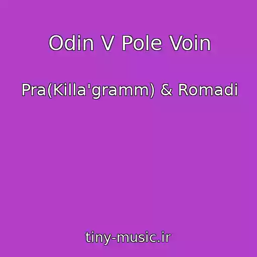 کاور آهنگ Odin V Pole Voin از Pra(Killa'gramm) & Romadi
