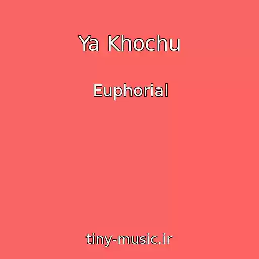 کاور آهنگ Ya Khochu از Euphorial
