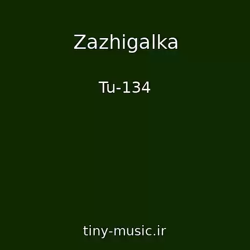 کاور آهنگ Zazhigalka از Tu-134