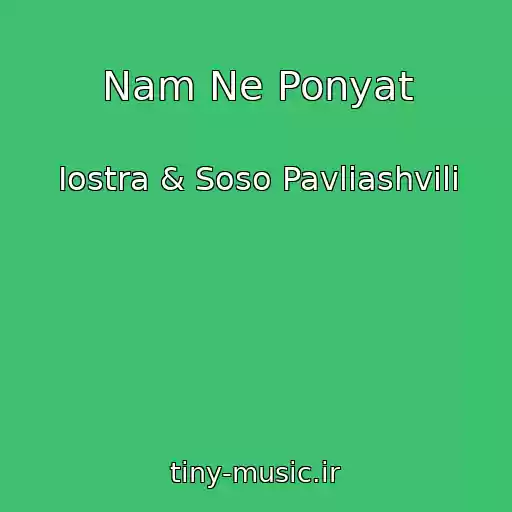 کاور آهنگ Nam Ne Ponyat از Iostra & Soso Pavliashvili