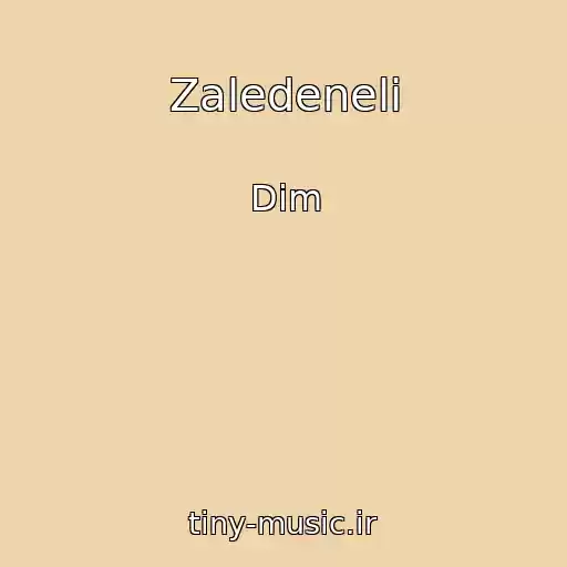 کاور آهنگ Zaledeneli از Dim