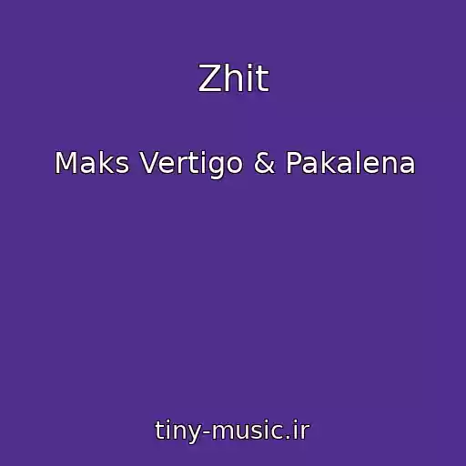 کاور آهنگ Zhit از Maks Vertigo & Pakalena